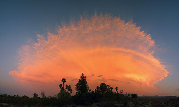 0828_horizon.jpg