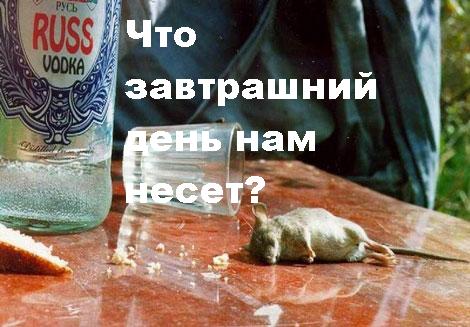 2699931.jpg
