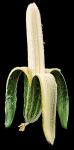 banan.jpg