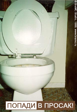 dd-238.jpg