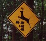 deersign.jpg