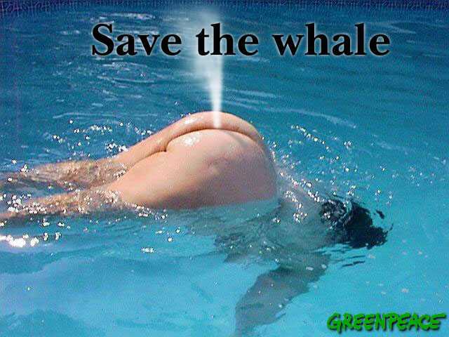 Greenpeace.jpg