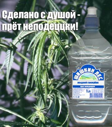 shishkin.jpg