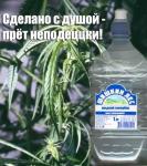 shishkin.jpg