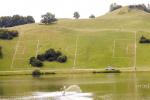 soccer-field.jpg