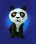 1003catpanda_big.jpg