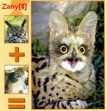 2809zoo10.jpg