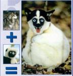 2809zoo11.jpg