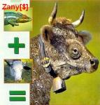 2809zoo2.jpg