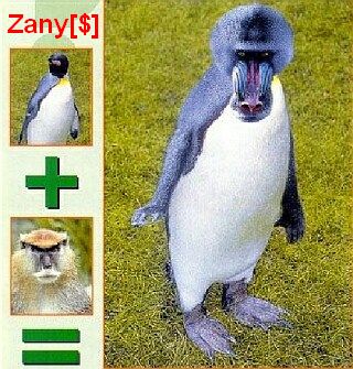 2809zoo4.jpg