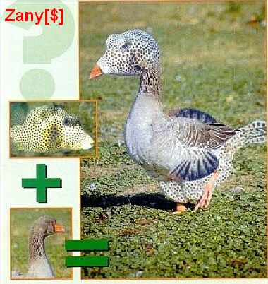 2809zoo40.jpg
