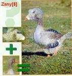 2809zoo40.jpg