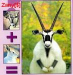 2809zoo5.jpg
