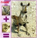 2809zoo7.jpg