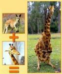 2809zoo8.jpg