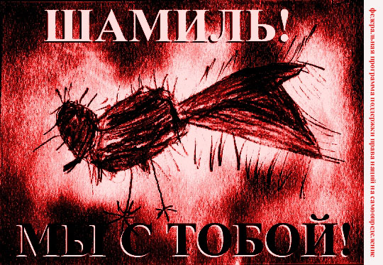 shamil1_1_.jpg