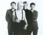 Cranberries01.jpg