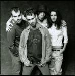 Guano Apes30.jpg