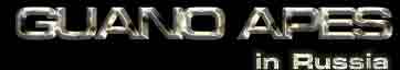 logo2.jpg