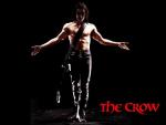theCrow3.jpg