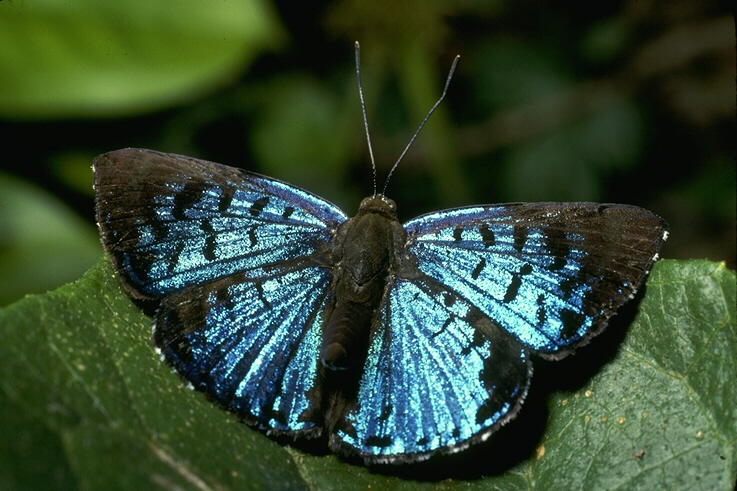 052063B.JPG