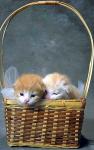 Red kitten in a gift basket