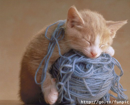 Фотка миленького котенка спящего на клубке с нитками