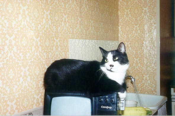 LISSIK3.JPG