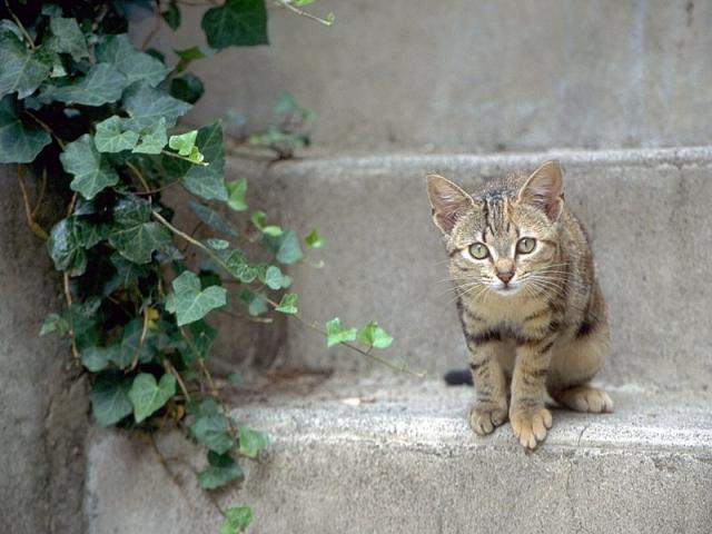 20070904.JPG