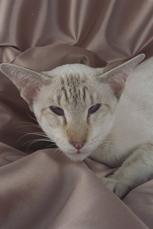 458083.JPG