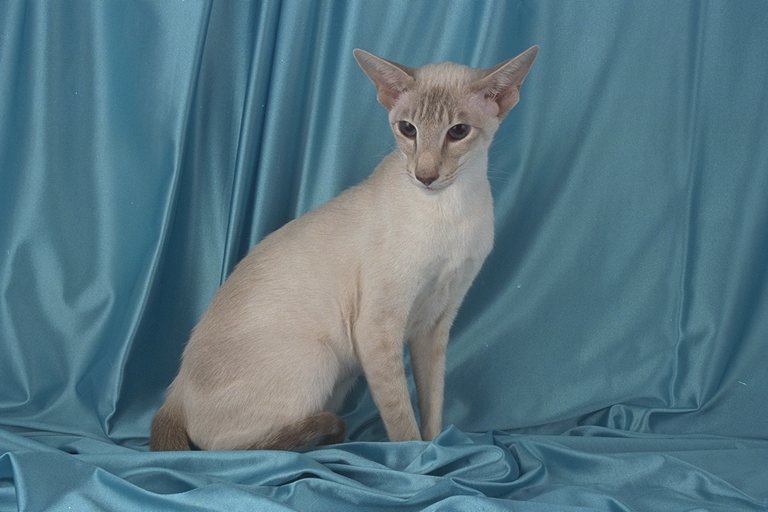 458084.JPG