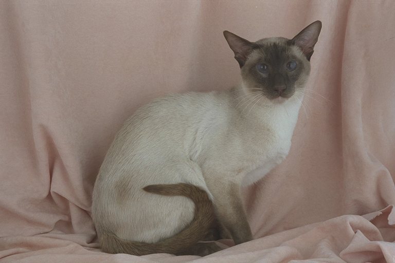 458085.JPG