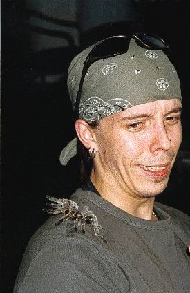 n_misc_araknofobia.jpg