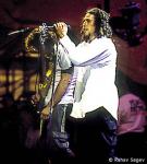 ratm11.jpg