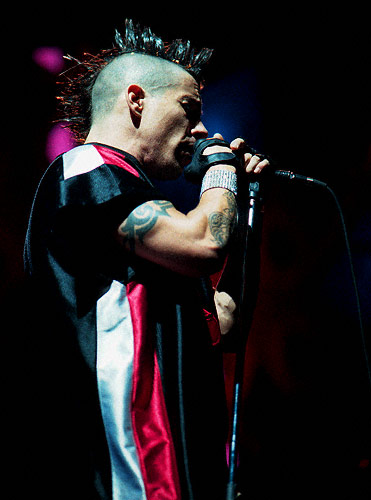 RHCP19.jpg