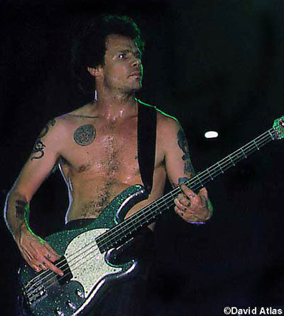 RHCP3.jpg