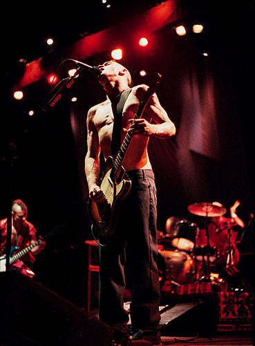 RHCP33.jpg