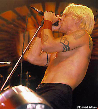 RHCP7.jpg