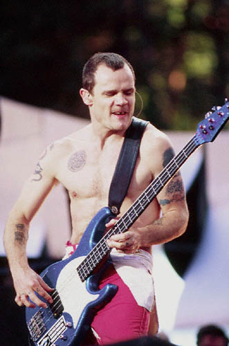 RHCP8.jpg