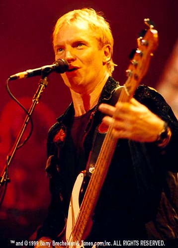Sting 02.jpg