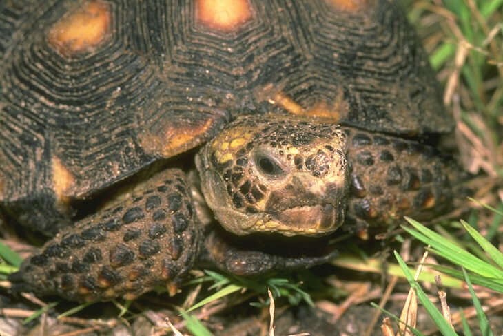 087075B.JPG