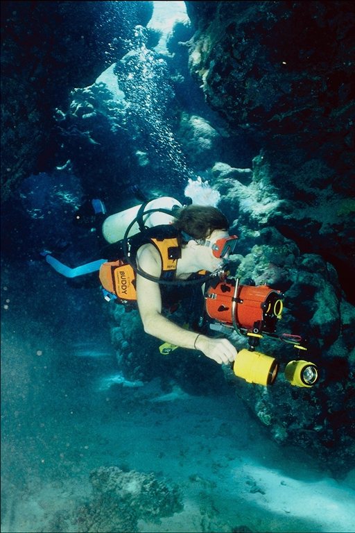 diver on underwater rock